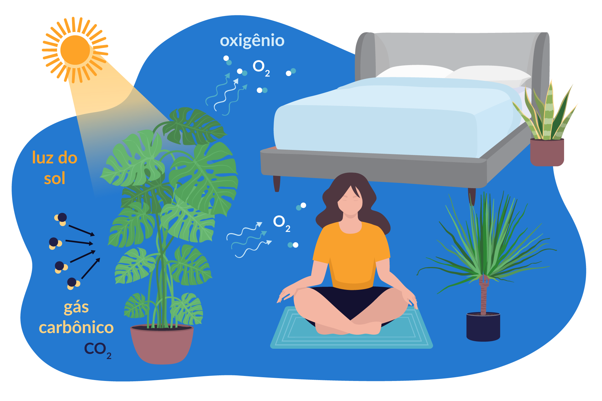 Ilustração de plantas no quarto, a receber gás carbônico e luz do sol, e produzir oxigênio